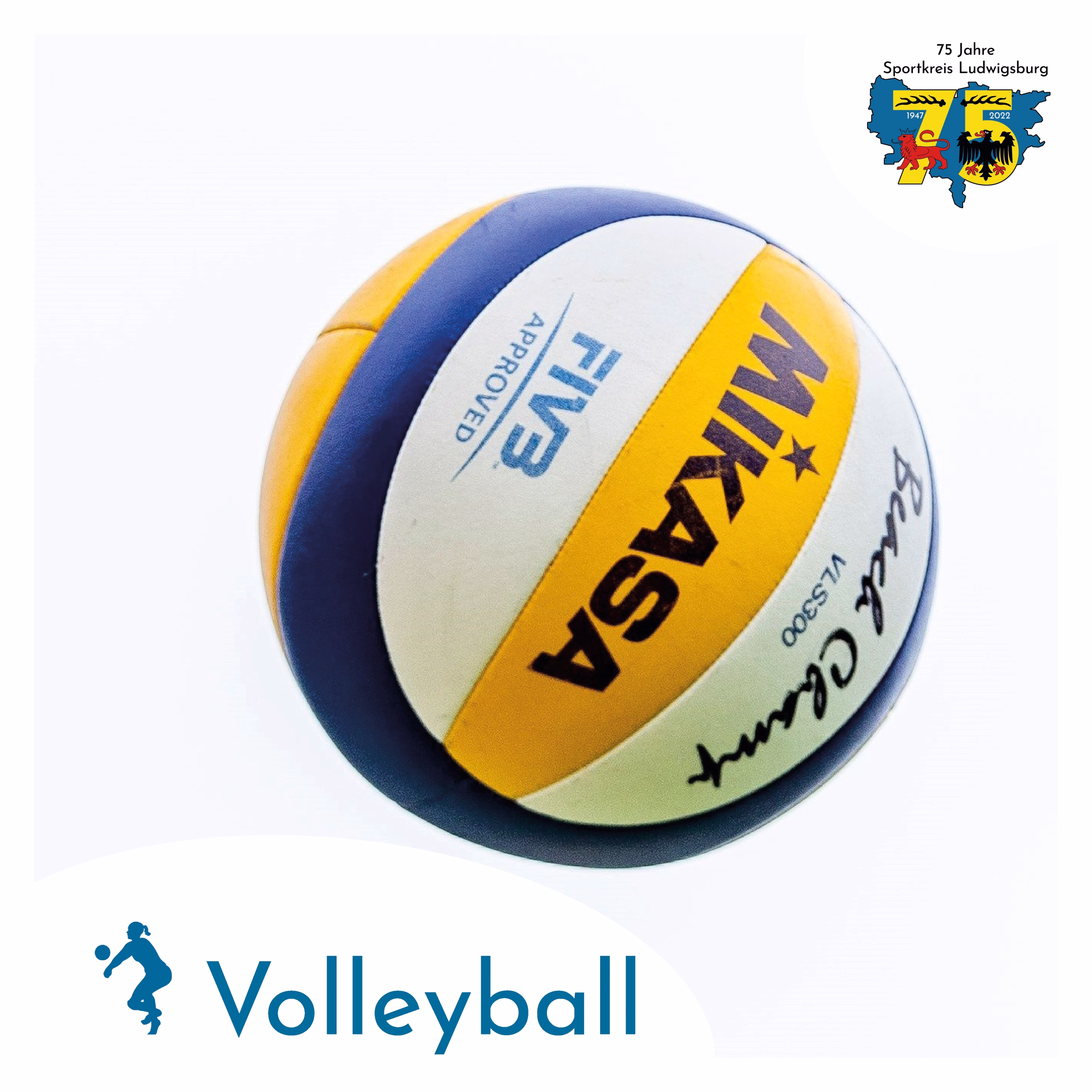 Nahaufnahme eines Volleyballs mit gelb-blauen Streifen und Aufschrift; dient als Symbol für Volleyballsport.